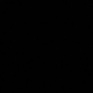 Meet your Posher, Alessandra